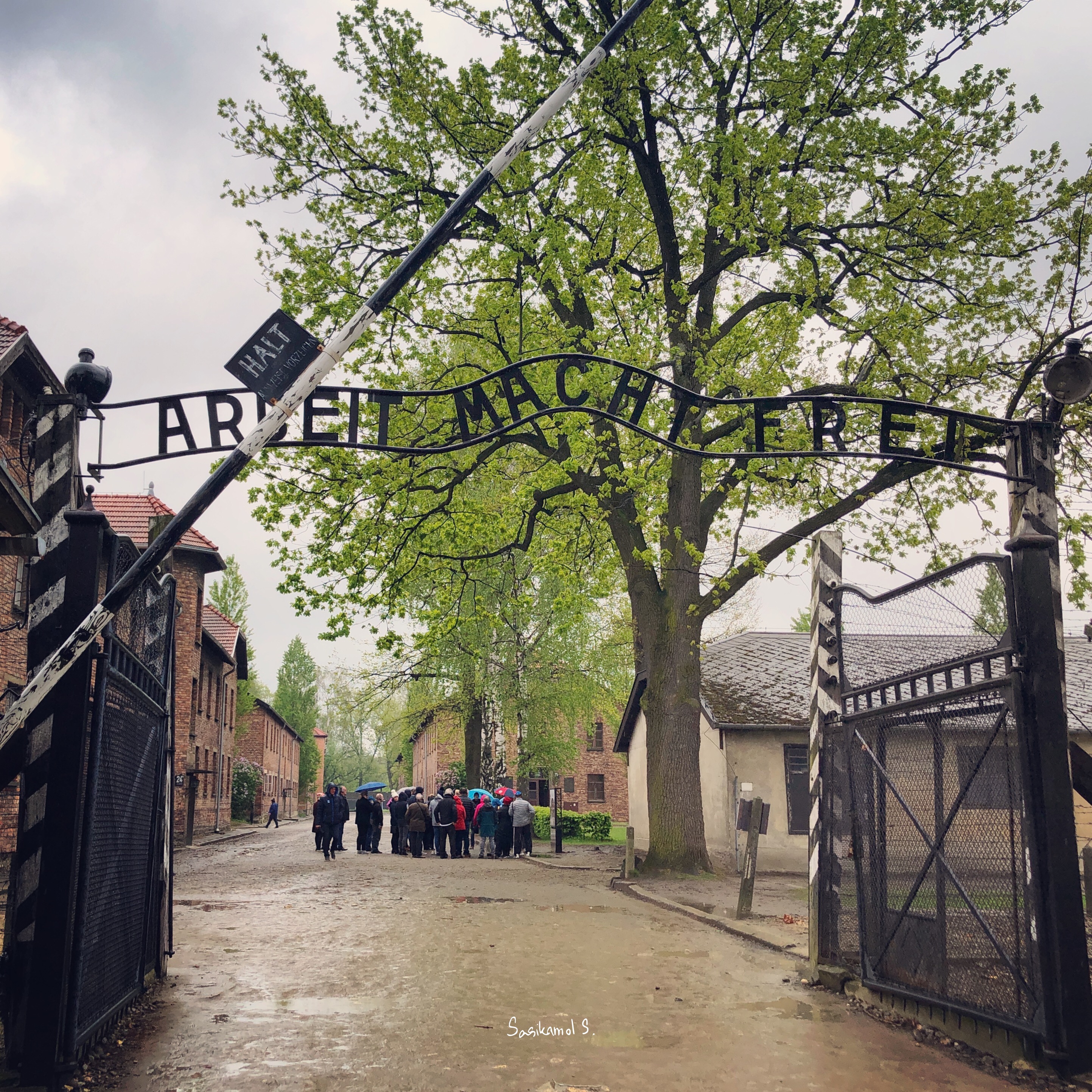ป้าย Arbeit Macht Frei ที่ทางเข้า Auschwitz